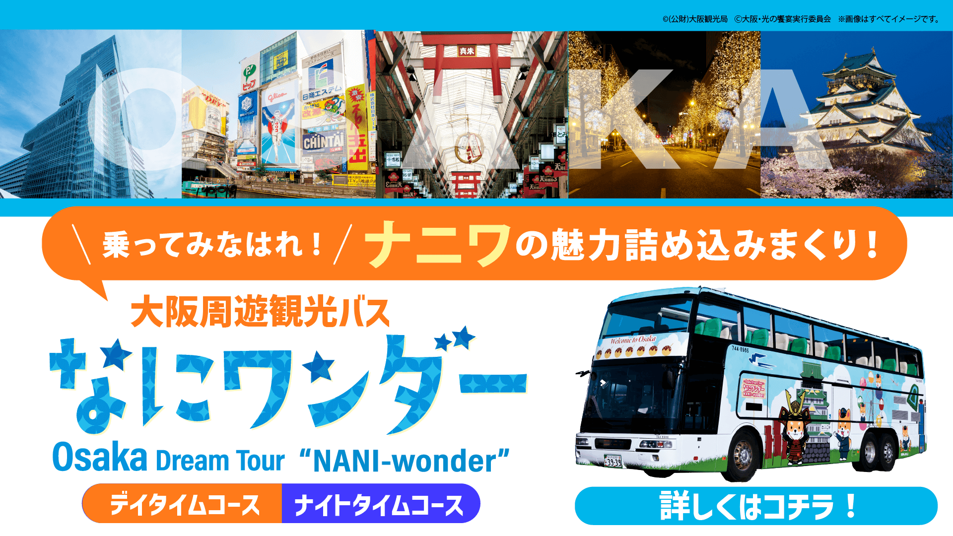 なにワンダー
